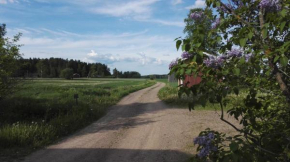 Гостиница Levomäki Farm Cottages  Ypäjä